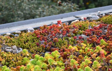 the cost of Primrose Valley green roof installation