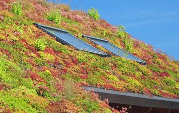 Primrose Valley living roof systems
