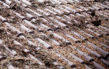 Primrose Valley roof cleaning companies