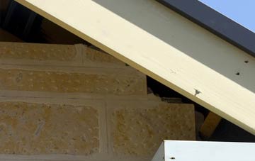 soffit repair Primrose Valley