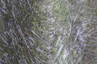 Primrose Valley fibreglass roof work